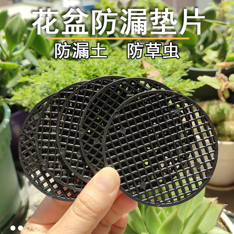 A prueba de fugas suelo de malla inferior maceta junta al por mayor suculenta cojín Cuenca neta de plástico redondo colador de malla transpirable fabricante