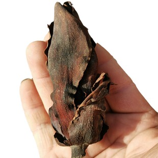 ���l��ș�� ���ӻ� ɢ�b500��