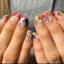 X-0266һ���f������ʧ�Z�Ļ��������T��24Ƭ�S��ֱ�N������