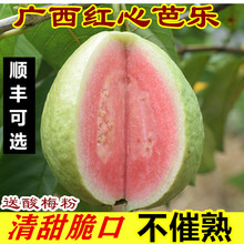 5��V����ʯ��t�İŘ���֬���r�خa�����Ꭷˮ����S���x������