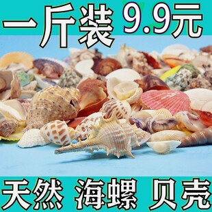 ��Ȼؐ�������ֹ��׃��@�h��������~���쾰�b��ϰ��]���l���]