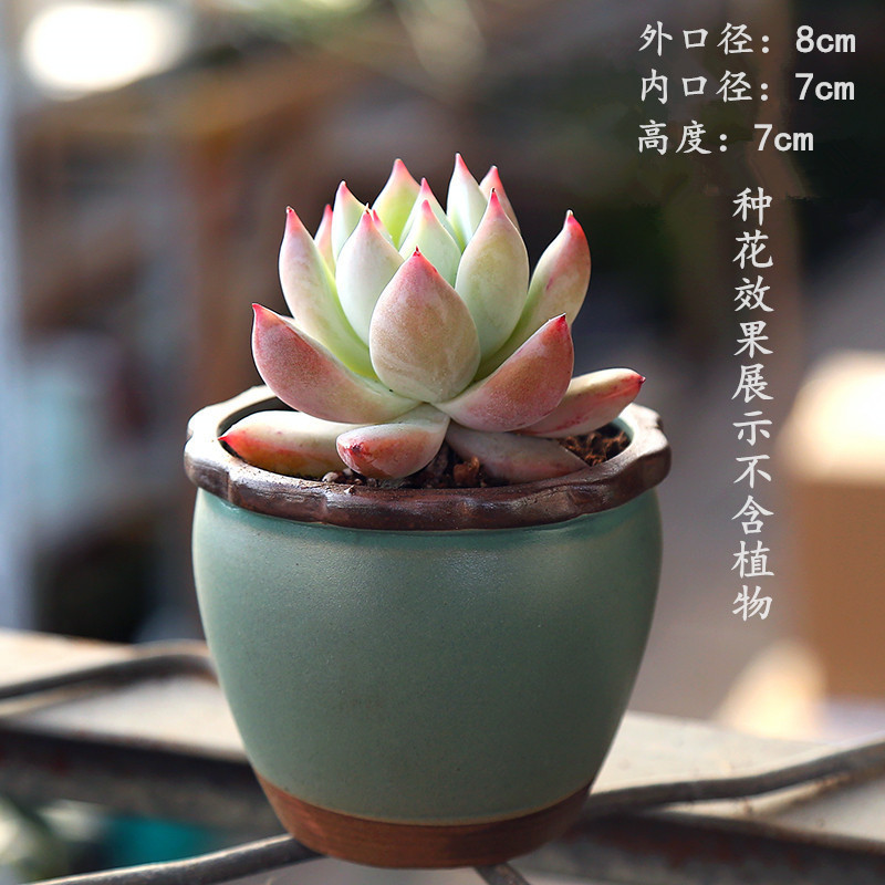 植木鉢の小さい新商品の缶のアイデアの磁器の缶の多い陶磁器の肉のミニ陶のレトロな家庭の陶磁器のたらいの園芸の太い新しいです。|undefined