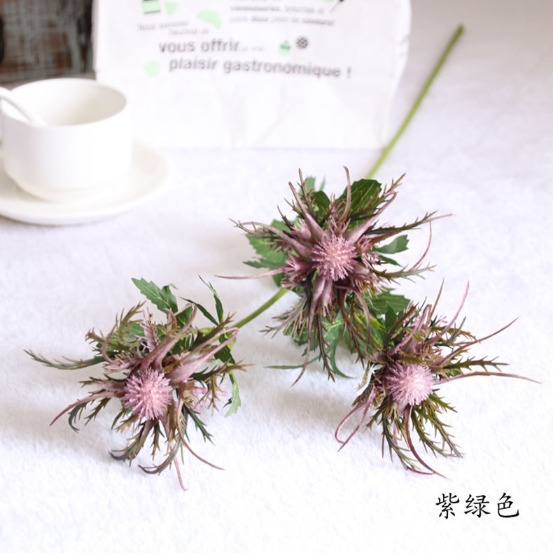 刺芹紫绿色_副本字790