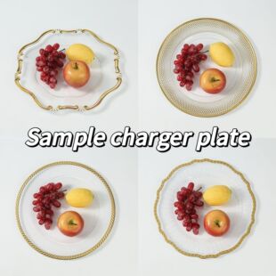 �ِ����ϱP����Ҿ��bP���PSample charger plate�Ɍ��bP��