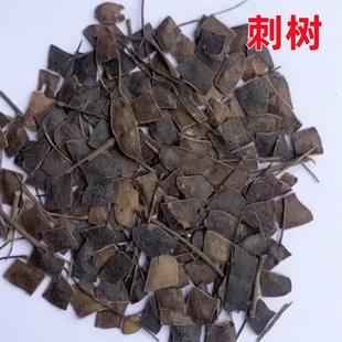 ���Ӵ̘�N�Ӈ��@�{�{���ļ���N�Ӈ��@�̻h���G���N���д��y�Ϛg
