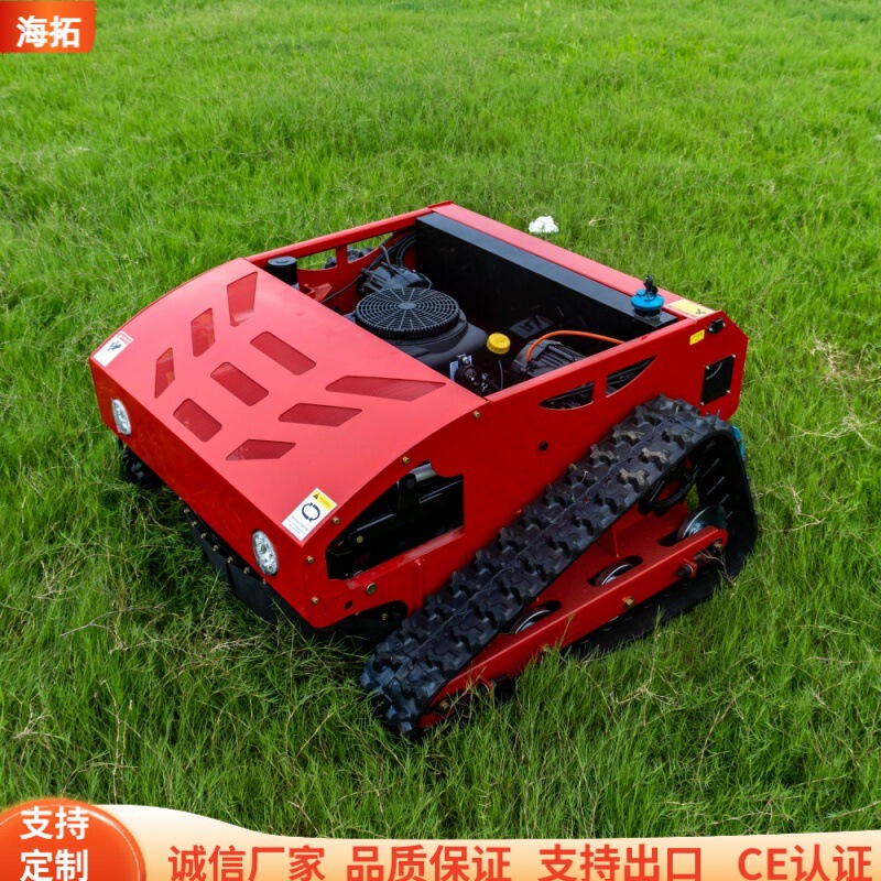 Exported to France Small Crawler Remote Control Lawn Mower 16 Horsepower High Power Gasoline Lawn Mower Ready for Supply