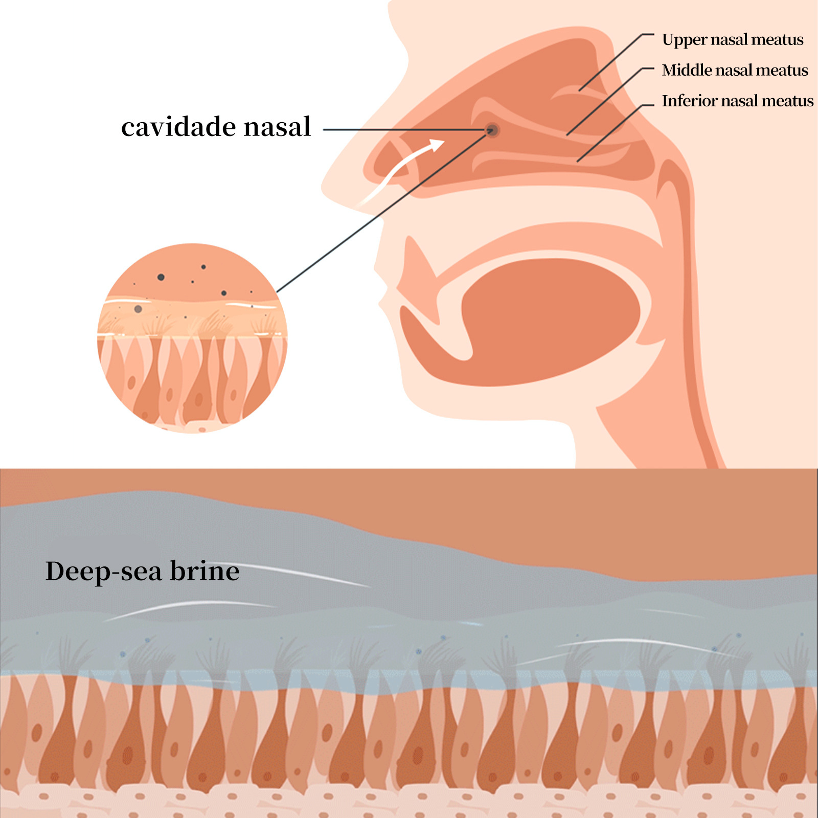 South Moon Physiological Seawater Nasal Spray Gentle nasal cleansing spray for nasal congestion and itchy nose_voghion.com