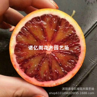 �Ĵ�����Ѫ�������_��Ѫ�ȼ޽ӹ����翨���t��Ě�����A�۳��Ә���