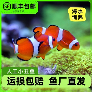 С���~��ˮ�^�p�~���w�˹�������Ī�ͻ���B����