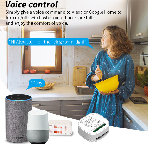 Homekit Smart Switch WiFi Switch 16A Dark Box APP Remote Timer Random Stick Dual Control 