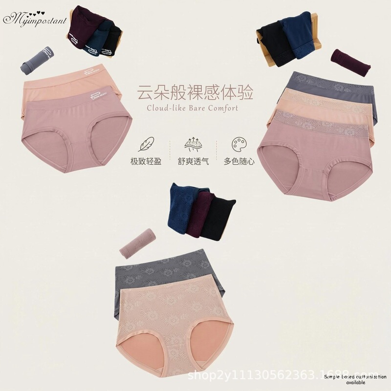 Cross-Border Women's Underwear, Lace Jacquard Mid-Waist Women's Briefs, Girls' Underwear, Southeast Asia Underwear Cross-Border Women's Underwear, Lace Jacquard Mid-Waist Women's Briefs, Girls' Underwear, Southeast Asia Underwear