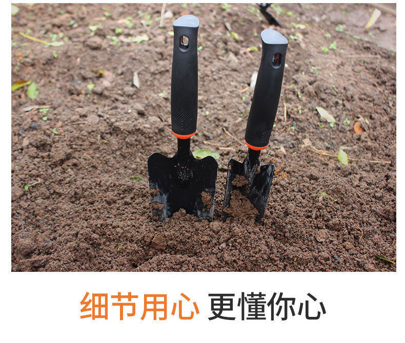 b72a852a-26e6-4df1-8b6b-dc6d9e45e0b4.jpe