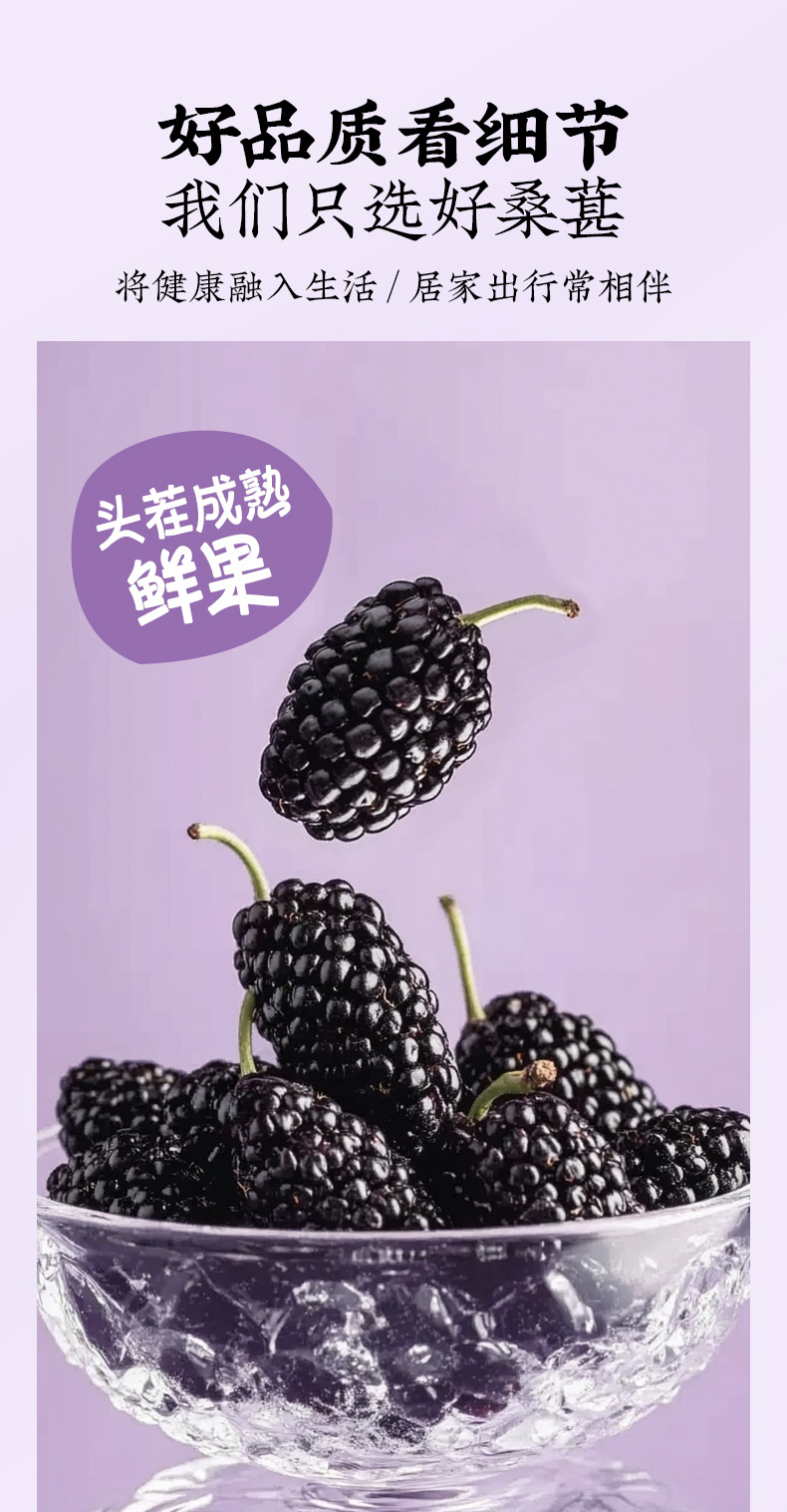 Dried Mulberry Fruit Sang Shen Zi Large Berries Natural Snack and Herbal Tea Ingredient 500g Bag specifications