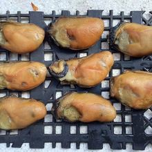 ̨ɽ������� 30�^һ�� ��ˬ ���r �Ҝ������Ʒ