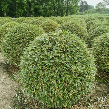 �������l��߅���j����������Ҏ��ȫ�������ͺ��ͺ��^�~ֲ��