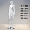 直手右迈腿（大胸款）