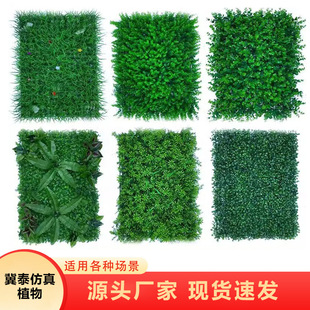 ����ֲ��Gֲ����ƺ����²�Ƥ�ȼ����T�^�쾰ֲ�ﻨ���ٲ�ƺ