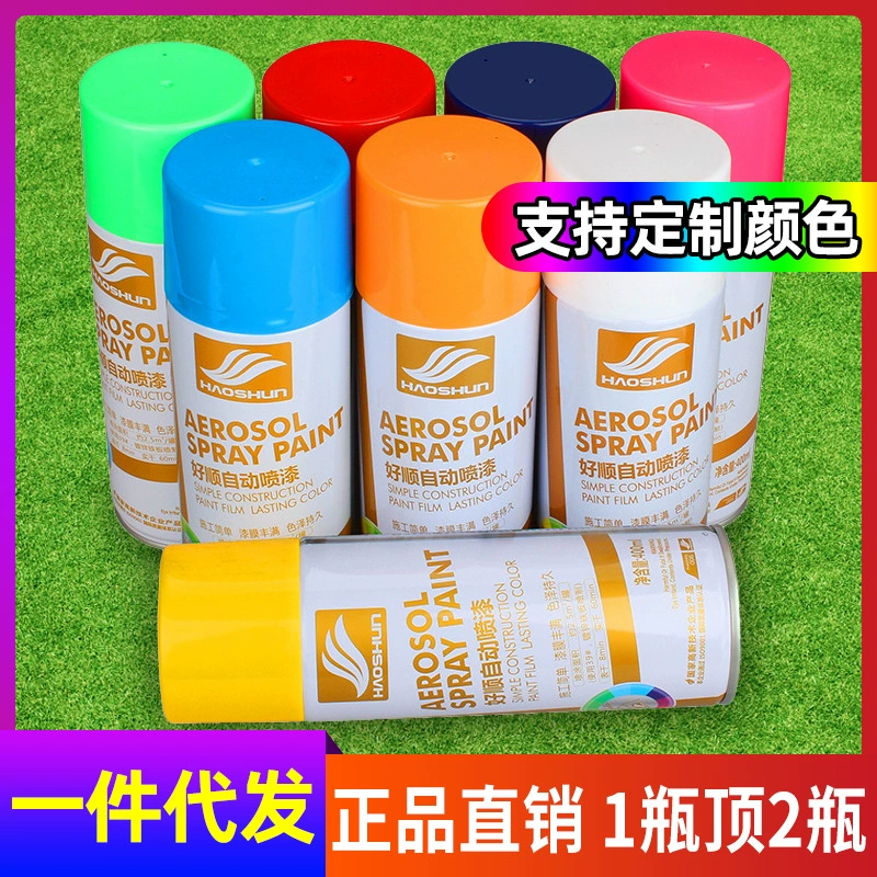 Haushun автоматическая аэрозольная краска металлическая антикоррозийная краска черная ручная аэрозольная краска граффити стены самораспыляная краска деревянная краска оптовая краска