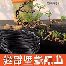 �辰�������z�_�h�������X���@�֘������Ͷ������F�zܛ�X�z�@ˇ��