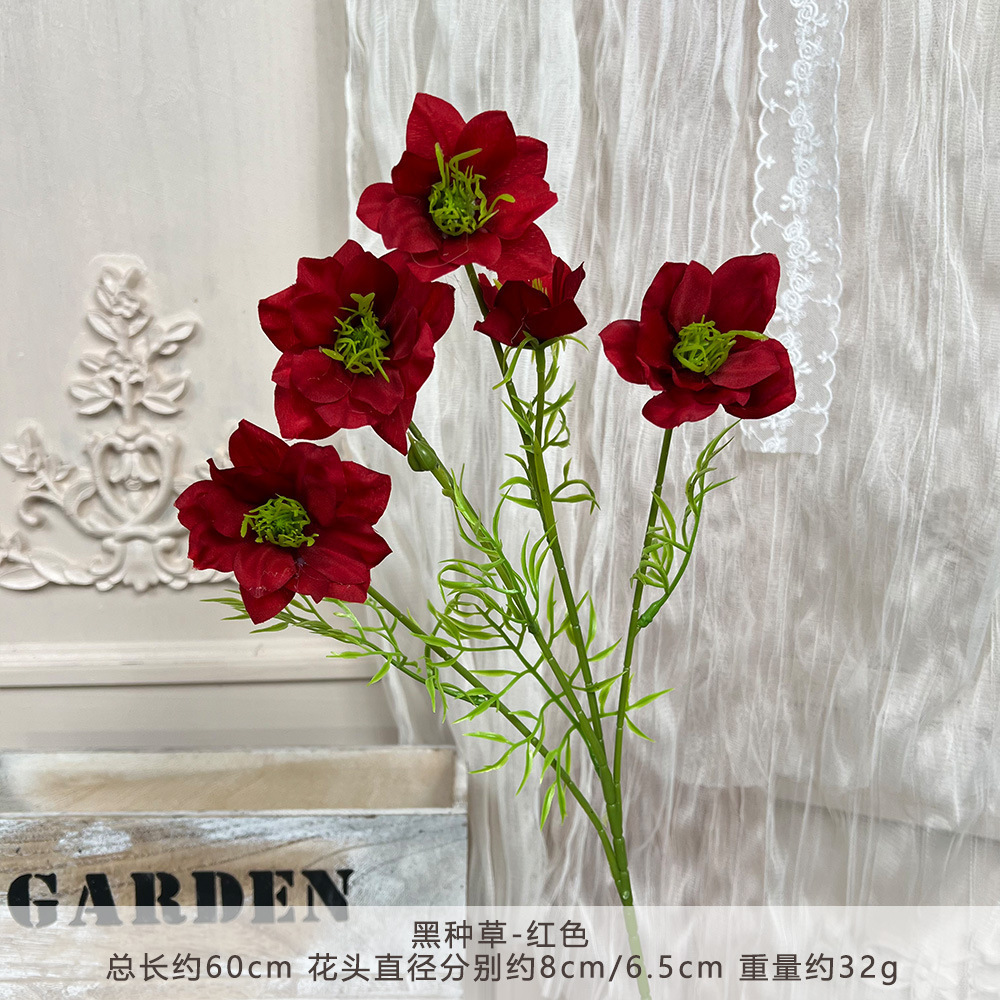 Jp-nigella sativa-red