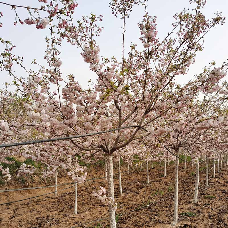 微信图片_20230818145727 副本.jpg