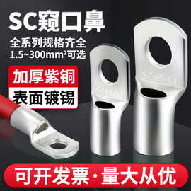 SC铜鼻子紫铜镀锡铜线耳冷压接线端子电线电缆裸端子连接器25平