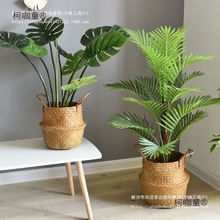 ���W�پ��ݾ��������@�񾎾Gֲ������ؾ����@�@��ֲ�ﻨ����̫��