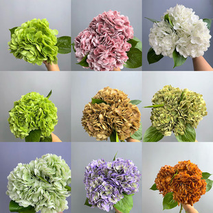 ���滨196Ƭ�����Ʒ�|�ָб����򻨻�Y��ˇ�Ҿ��bٻ�