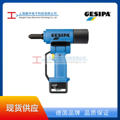 Gesipa电动铆钉枪AccuBird1434898 电动拉铆枪 电动拉钉枪