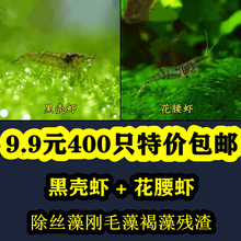 �ښ��r�����r�^�p�r�����r����r�����r���AС�L�۳��z�儂ë��