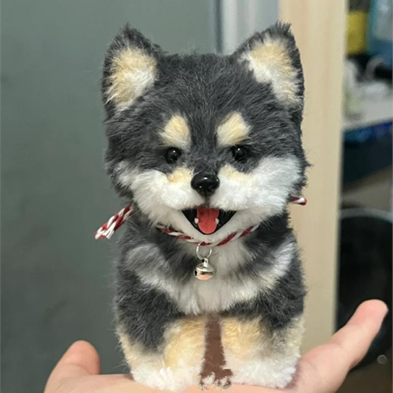 토끼털 검은 혀 시바견 강아지 소재