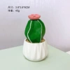Medium -sized polymerized potted plants (Overlord Flower)