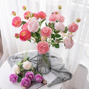 ��c�b�Ʒ3�^����ĵ�����滨ֲ��INS�Lֲ�����õ�廨MW51010