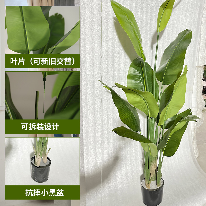仿真绿植天堂鸟仿真花假树植物仿生高端轻奢客厅落地摆件造景盆栽|undefined