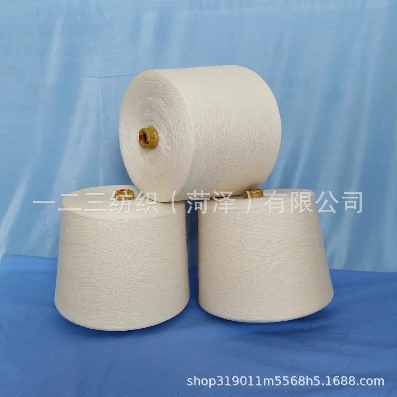 精梳棉羊毛纱 涤纶羊毛纱羊毛纱 仿毛纱 仿兔毛纱 腈纶羊毛纱