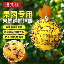 ����ω���Tω���T����ճ�x�����ᘷ��Sɫ�Gɫ���x�����岶�x��