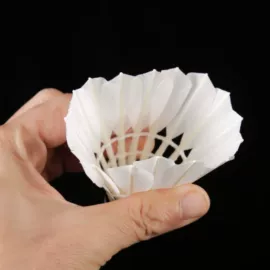 羽毛球