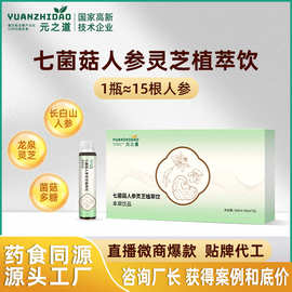 免疫三高支持发酵灵芝饮品 药食同源OEM贴牌代工 灵芝人参多肽饮