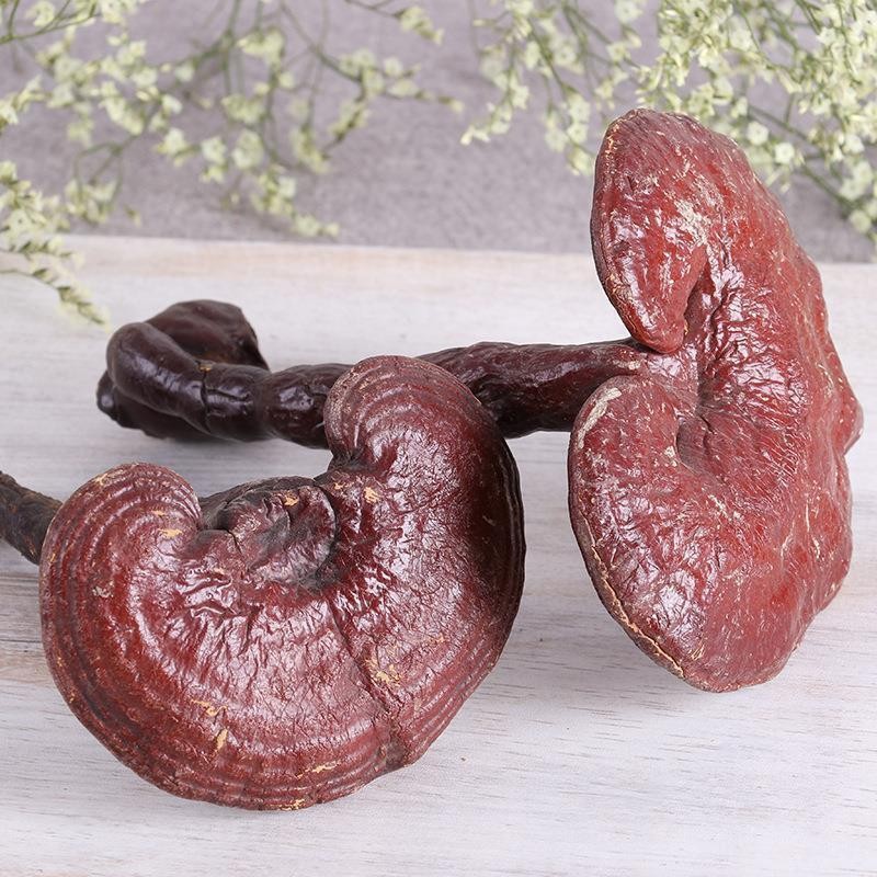 Dried Lingzhi Reishi Mushroom Whole Ganoderma lucidum 500g TCM Herbal Decoction Ingredient specifications
