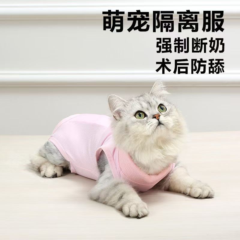 耐狮猫咪绝育服母猫衣服幼猫戒奶断奶服公猫防舔术后防舔宠物护理