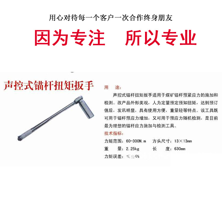 锚杆预应力扭力扳手0-500N.m特制加长套筒数显小型专用设备厂家