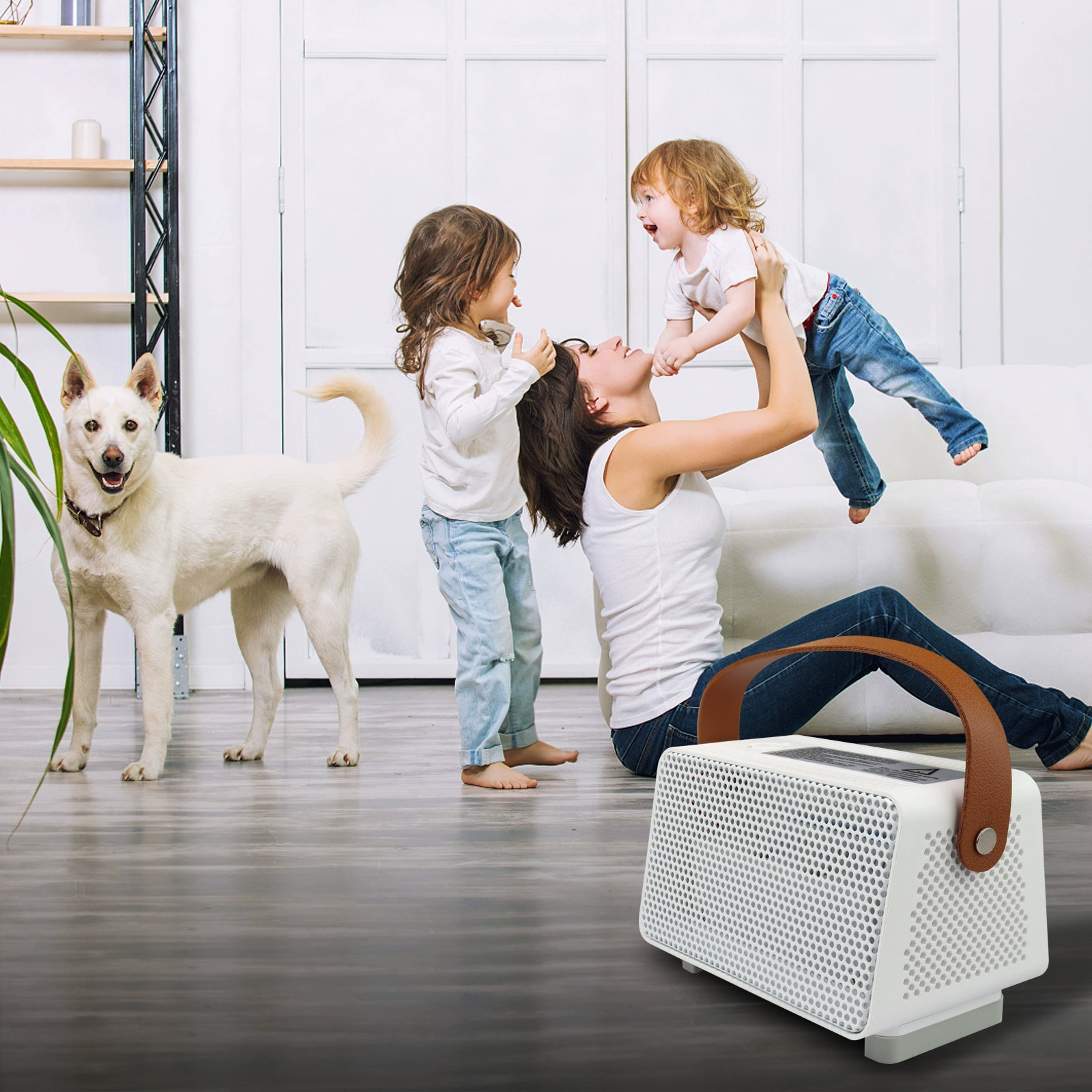 Новейший усовершенствованный интеллектуальный стерилизатор и дезодоратор для домашних животных, обуви, шкафов, ванных комнат, кладовых, автомобилей и дома