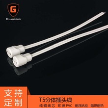 T5���w���ܲ��^�� չʾ���V���Ɵ��侀 �����ϻ��yԇ���A�^ֱ��ʽ