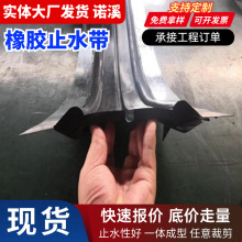 定制钢边止水带P型EVA塑料钢边式橡胶止水带651型中埋式橡胶止水