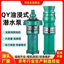 �F؛ֱ�NQY�ͽ�ʽ��ˮ��380V����ߓP�̴������r���Ȍ��ñó�ˮ