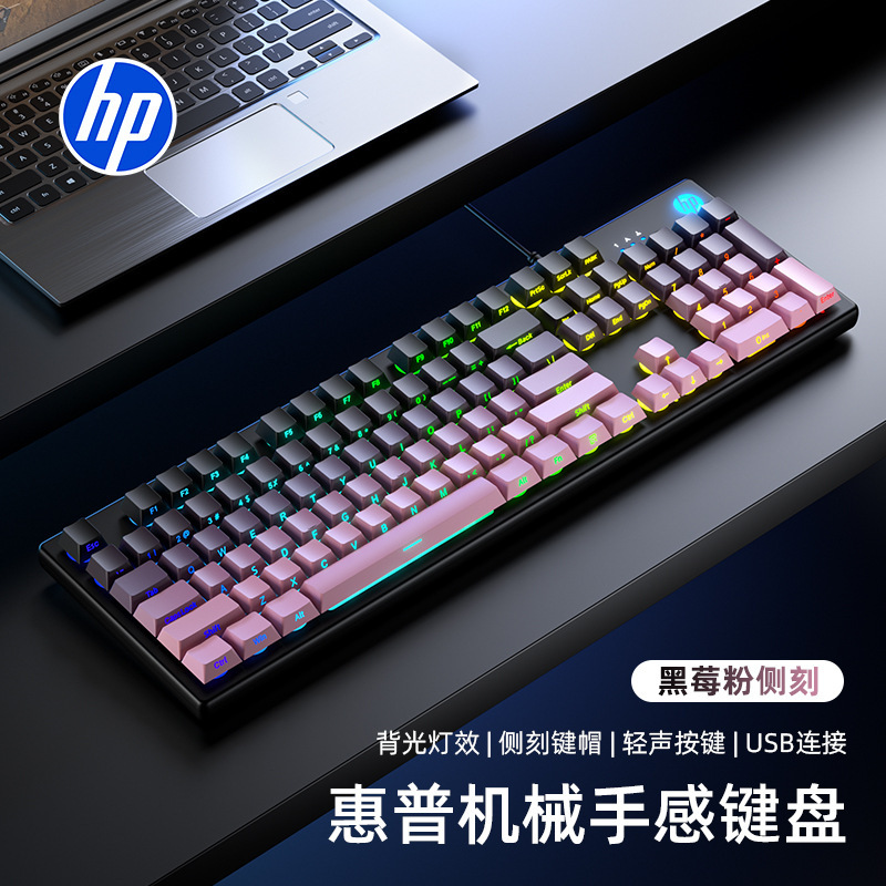 Hp K500 Wired Keyboard with Side-Engraved Luminous Keys for Desktop and Laptop, Suitable for Gaming, Office Use, and Wholesale