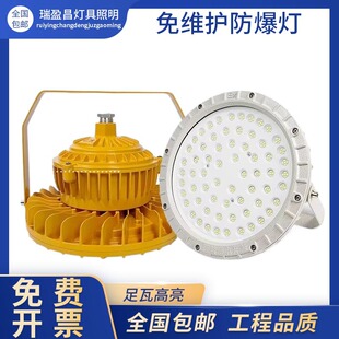 Op Led Explosion-Proof Lamp Warehouse Chemical Plant Factory Explosion-Proof Gas Station Anti-Corrosion Waterproof Industrial and Mining Lighting Fixtures