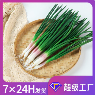 Simulated Onion, Fake Green Onion, Garlic Seedling Model, Simulated Fake Vegetables, Restaurant Decorations, Photography Props, Kidsren's Teaching Aids