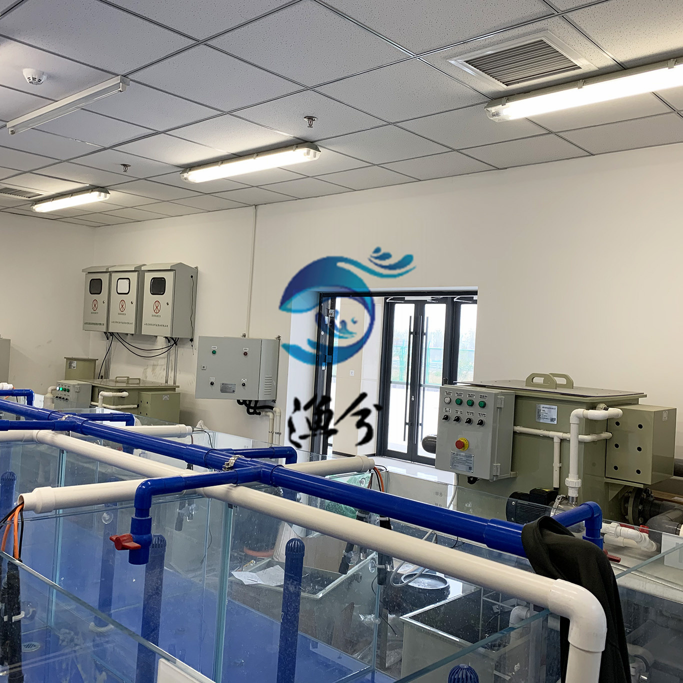 实验室暂养循环水处理系统、酒店海鲜暂养系统