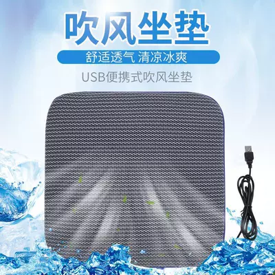 Car Seat Cushion Summer Cool Mat: Cool pad
